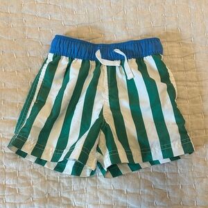 Toddler Striped Swim Trunks